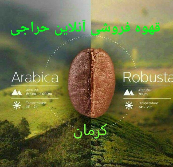 قهوه فروشی در کرمان | خرید قهوه در کرمان | فروش قهوه در کرمان | سیرجان | رفسنجان | جیرفت | بم | زرند | کهنوج | بافت
